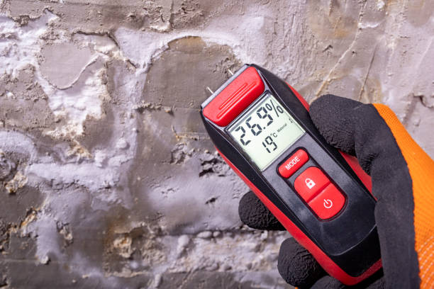 Best Localized Mold Remediation (e.g., coastal areas, humid climates) in Natalia, TX